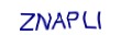 simple_captcha.jpg