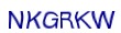 simple_captcha.jpg