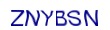 simple_captcha.jpg