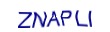 simple_captcha.jpg