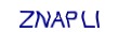 simple_captcha.jpg