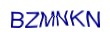 simple_captcha.jpg