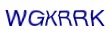 simple_captcha.jpg