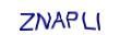 simple_captcha.jpg